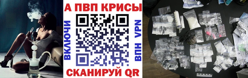 A PVP СК КРИС  Мыски 
