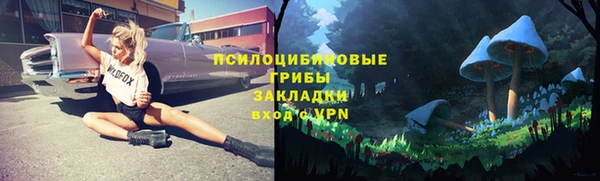 синтетический гашиш Алексеевка