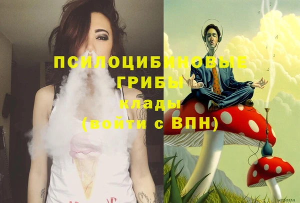 молекула духа Инсар
