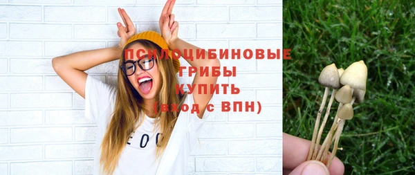 синтетический гашиш Алексеевка