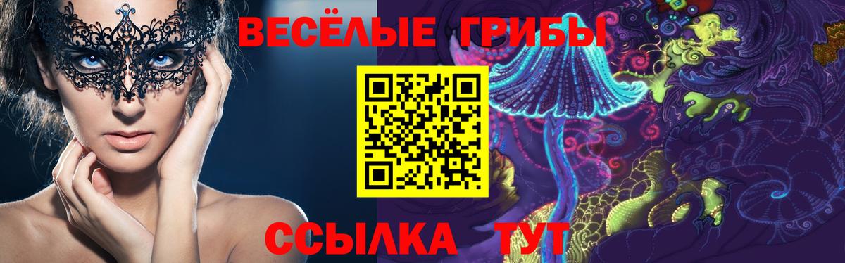 Псилоцибиновые грибы MAGIC MUSHROOMS  Вход с VPN  Мыски  Галлюциногенные грибы ЛСД 