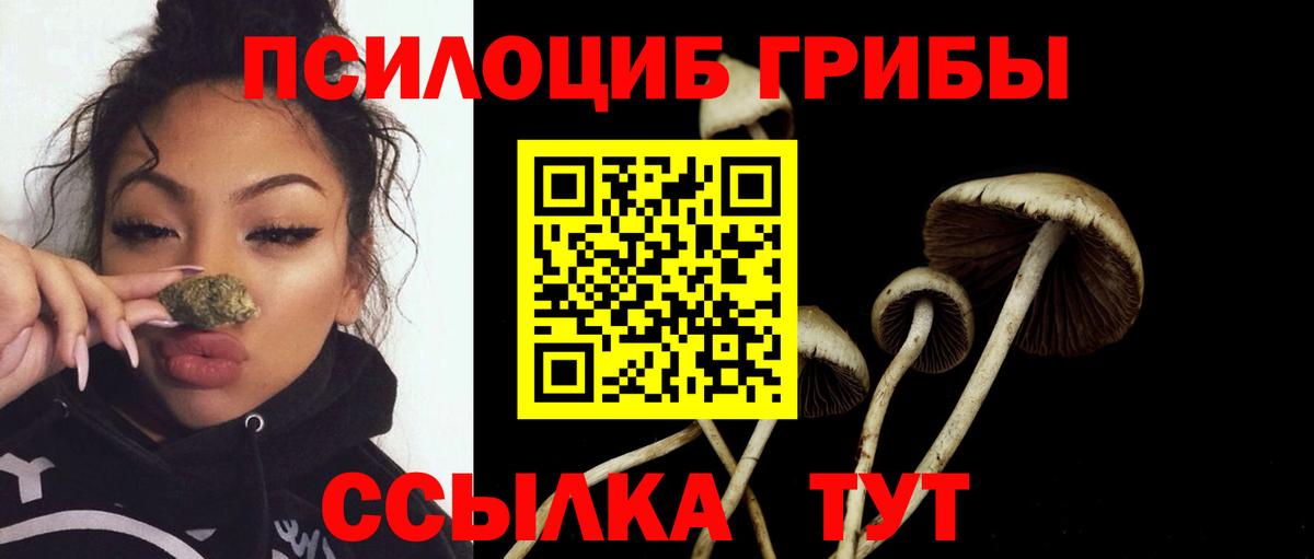 Галлюциногенные грибы Psilocybe Мыски